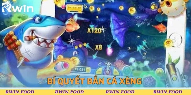 Chiến lược để trải nghiệm săn x&egrave;ng hiệu quả