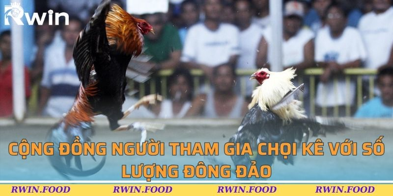 Cộng đồng người tham gia chọi k&ecirc; với số lượng đ&ocirc;ng đảo