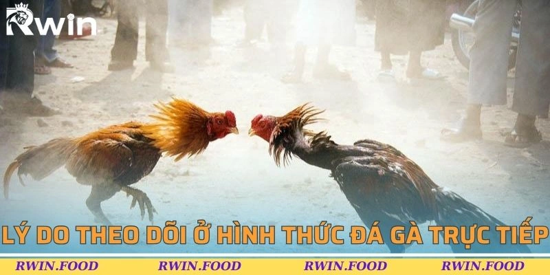 Điểm mạnh trong h&igrave;nh thức thi đấu chiến k&ecirc; trực tiếp