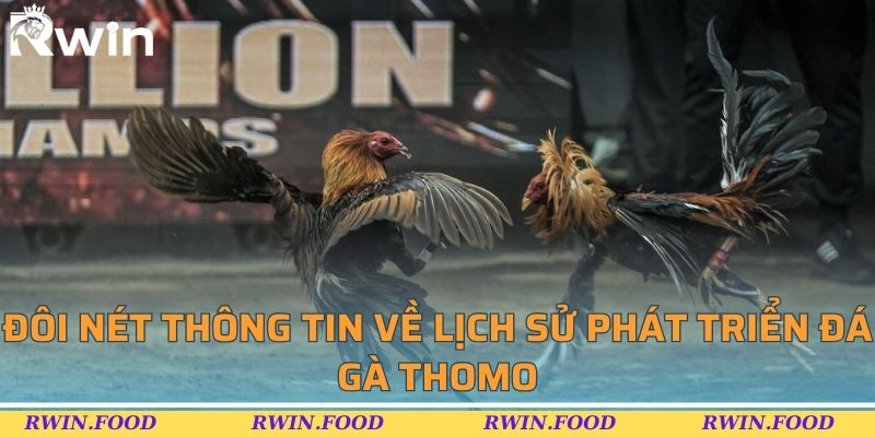 Đ&ocirc;i n&eacute;t th&ocirc;ng tin về lịch sử ph&aacute;t triển đ&aacute; g&agrave; Thomo