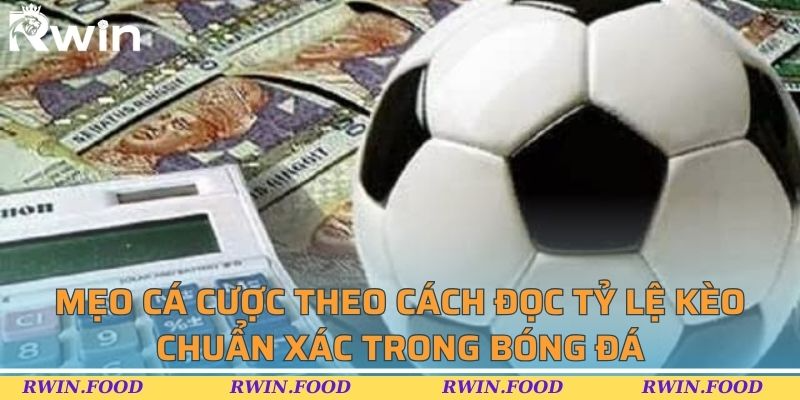 Mẹo c&aacute; cược theo c&aacute;ch đọc tỷ lệ k&egrave;o chuẩn x&aacute;c trong b&oacute;ng đ&aacute;