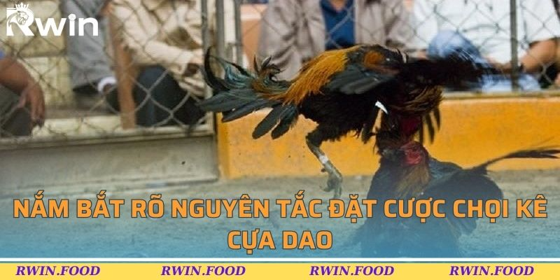 Nắm bắt r&otilde; nguy&ecirc;n tắc đặt cược chọi k&ecirc; cựa dao