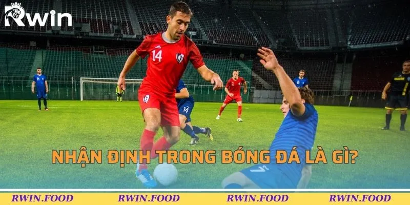 Nhận định trong b&oacute;ng đ&aacute; l&agrave; g&igrave;?