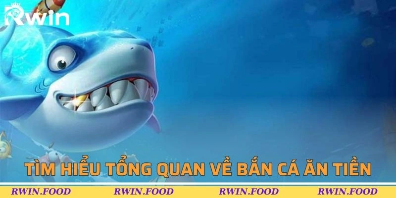 Sơ lược về h&igrave;nh thức săn c&aacute; nhận tiền