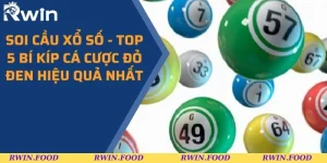 soi-cau-xo-so