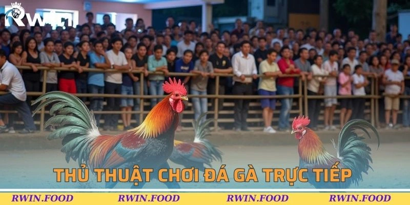 Thủ thuật để tham gia chơi đ&aacute; g&agrave; trực tiếp
