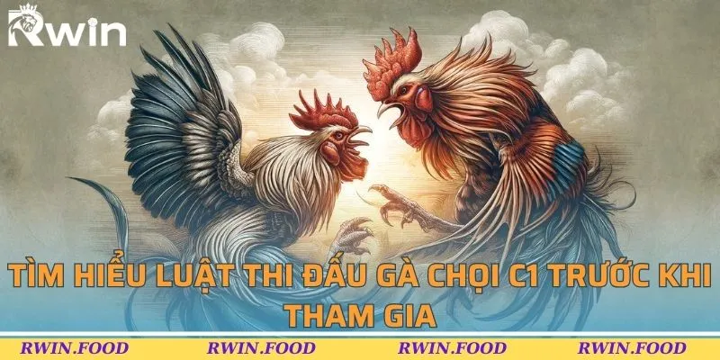 T&igrave;m hiểu luật thi đấu g&agrave; chọi C1 trước khi tham gia