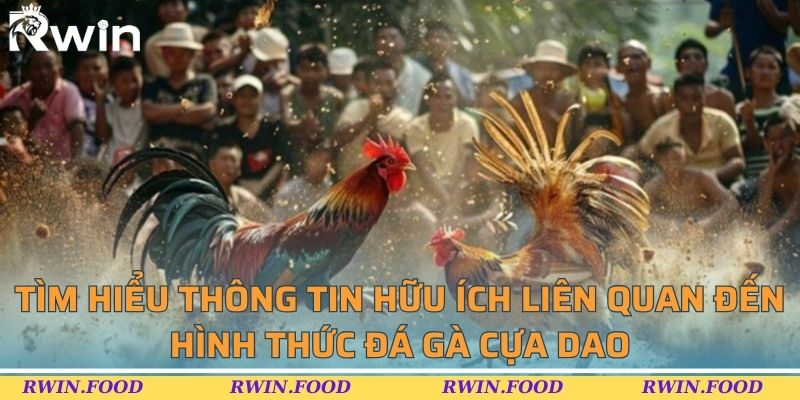 T&igrave;m hiểu th&ocirc;ng tin hữu &iacute;ch li&ecirc;n quan đến h&igrave;nh thức đ&aacute; g&agrave; cựa dao