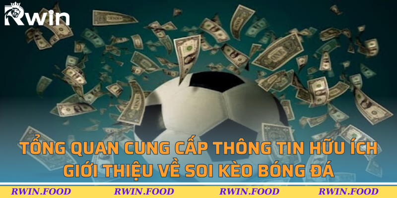 Tổng quan cung cấp th&ocirc;ng tin hữu &iacute;ch giới thiệu về soi k&egrave;o b&oacute;ng đ&aacute;