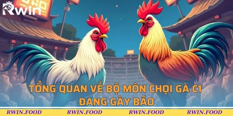 Tổng quan về bộ m&ocirc;n chọi g&agrave; C1 đang g&acirc;y b&atilde;o